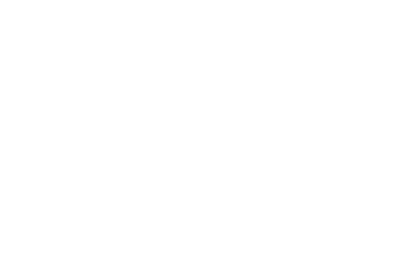 Zip logo
